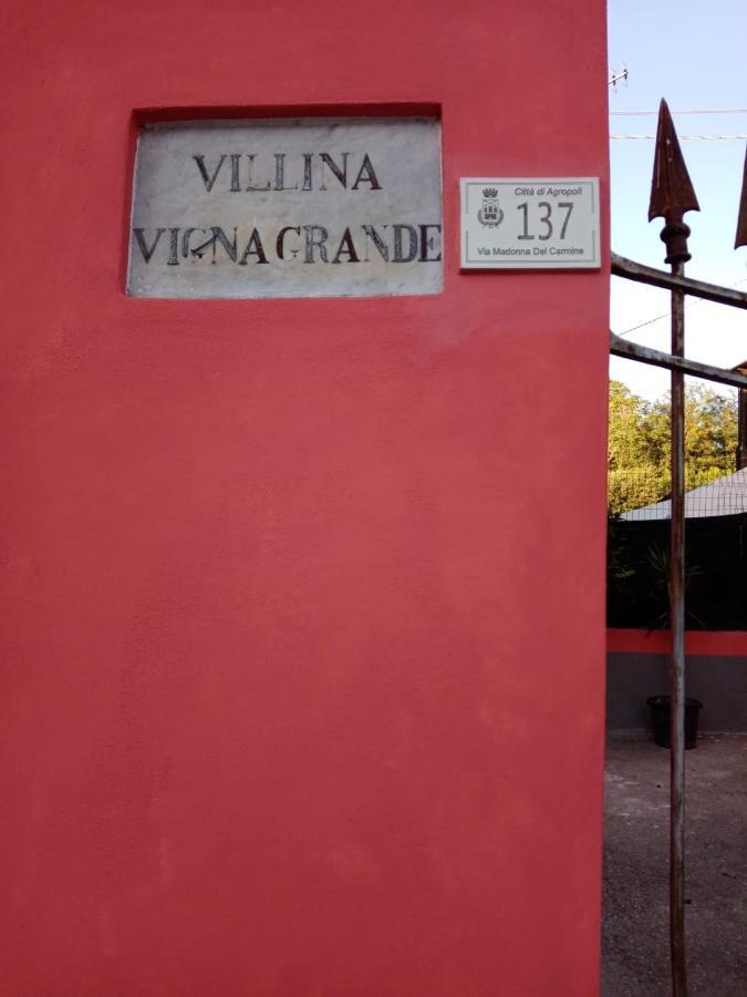 B&B Vigna Grande Agropoli Exterior foto