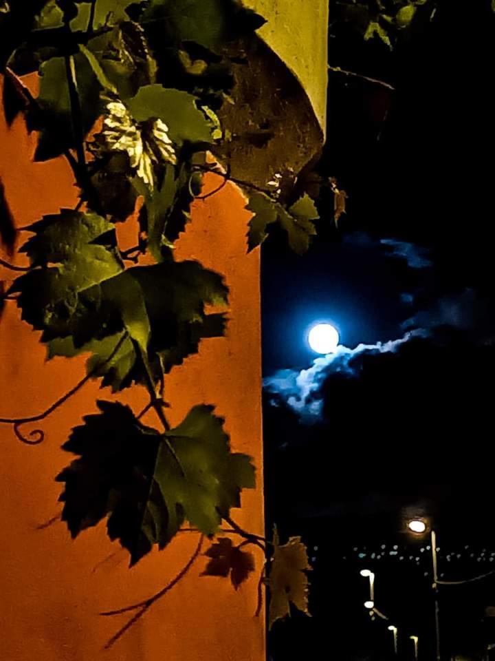 B&B Vigna Grande Agropoli Exterior foto